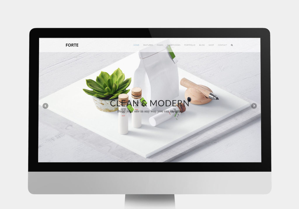 show-1024x717 show-1024x717 Forte – Multipurpose WordPress Theme show 1024x717